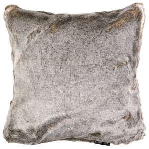 COUSSIN CASTOR_COU1045.jpg